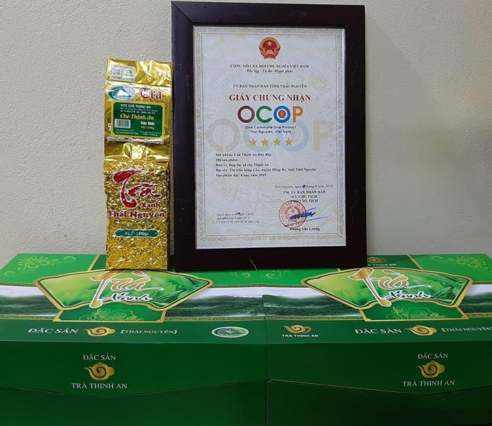 Chè Thịnh An - Chè Thịnh An đặc biệt