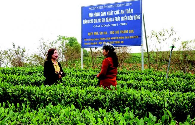 PHÁT TRIỂN THƯƠNG HIỆU NÔNG SẢN ĐỊA PHƯƠNG TỪ GỐC TNTV