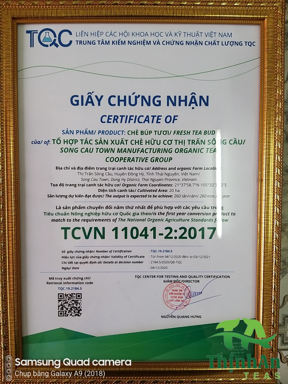 0.jpg